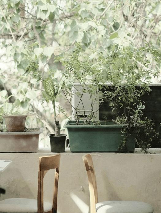 A short essay on Khan Market, Delhi – For Eastside Magazine